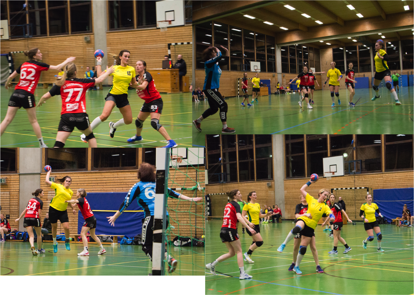 Handball D1 